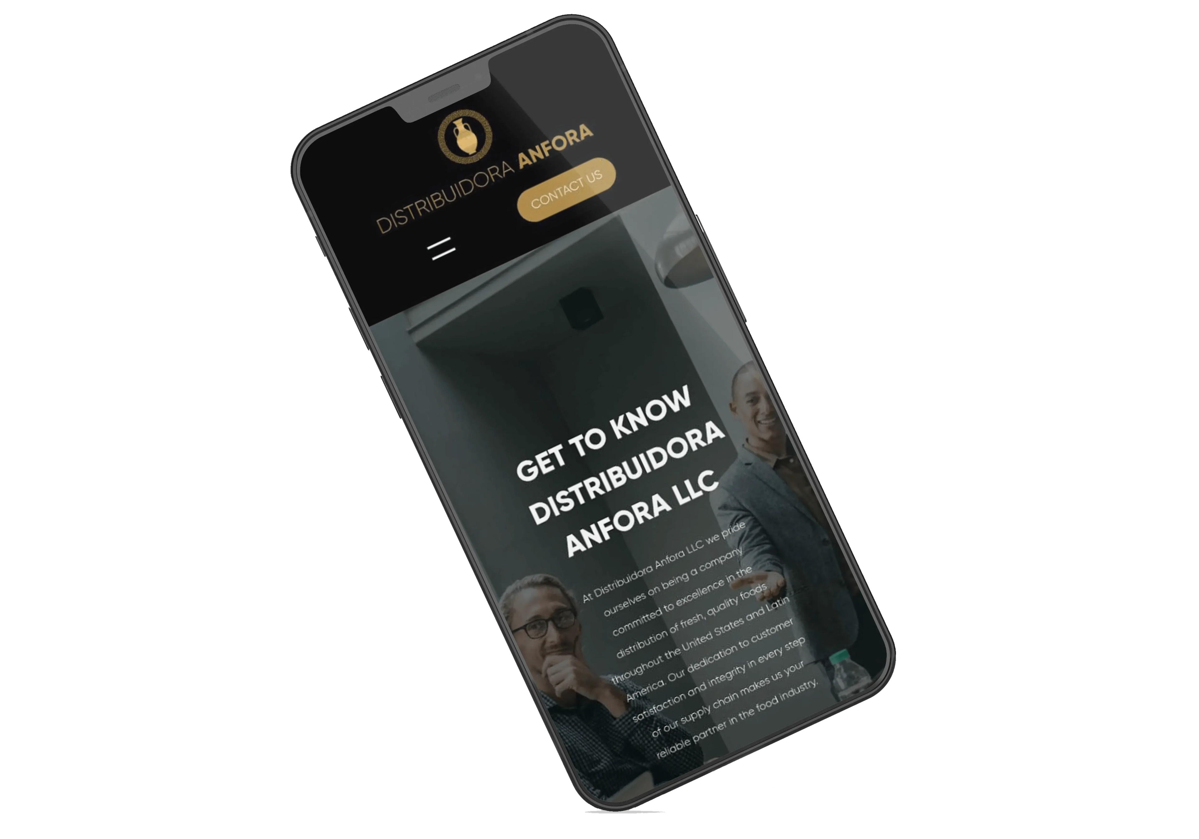 Distribuidora Anfora mobile version